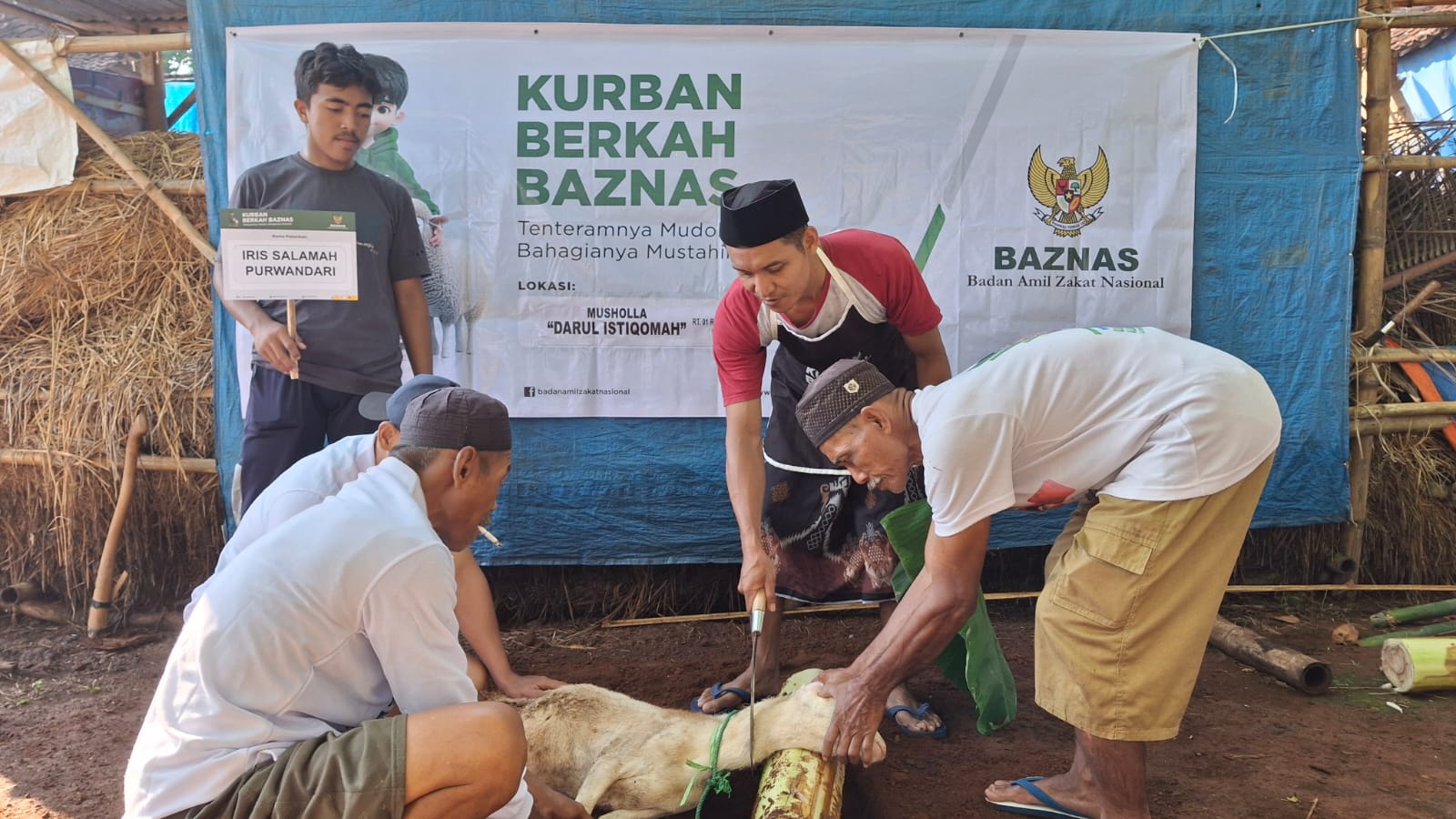 kurban-berkah-baznas-turunkan-angka-stunting